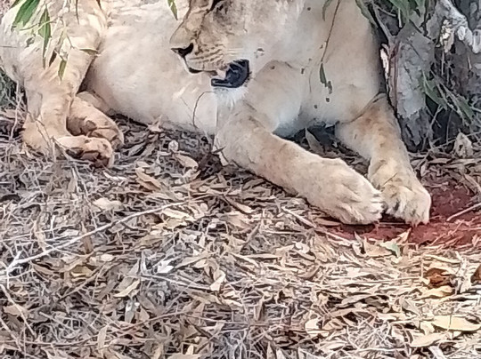 Viaggio Del Cuore-瓦塔木必去景点