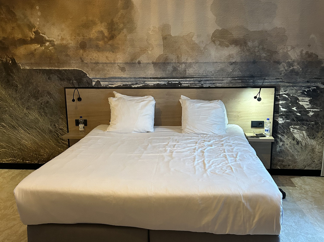 Fletcher Strandhotel Haamstede主图