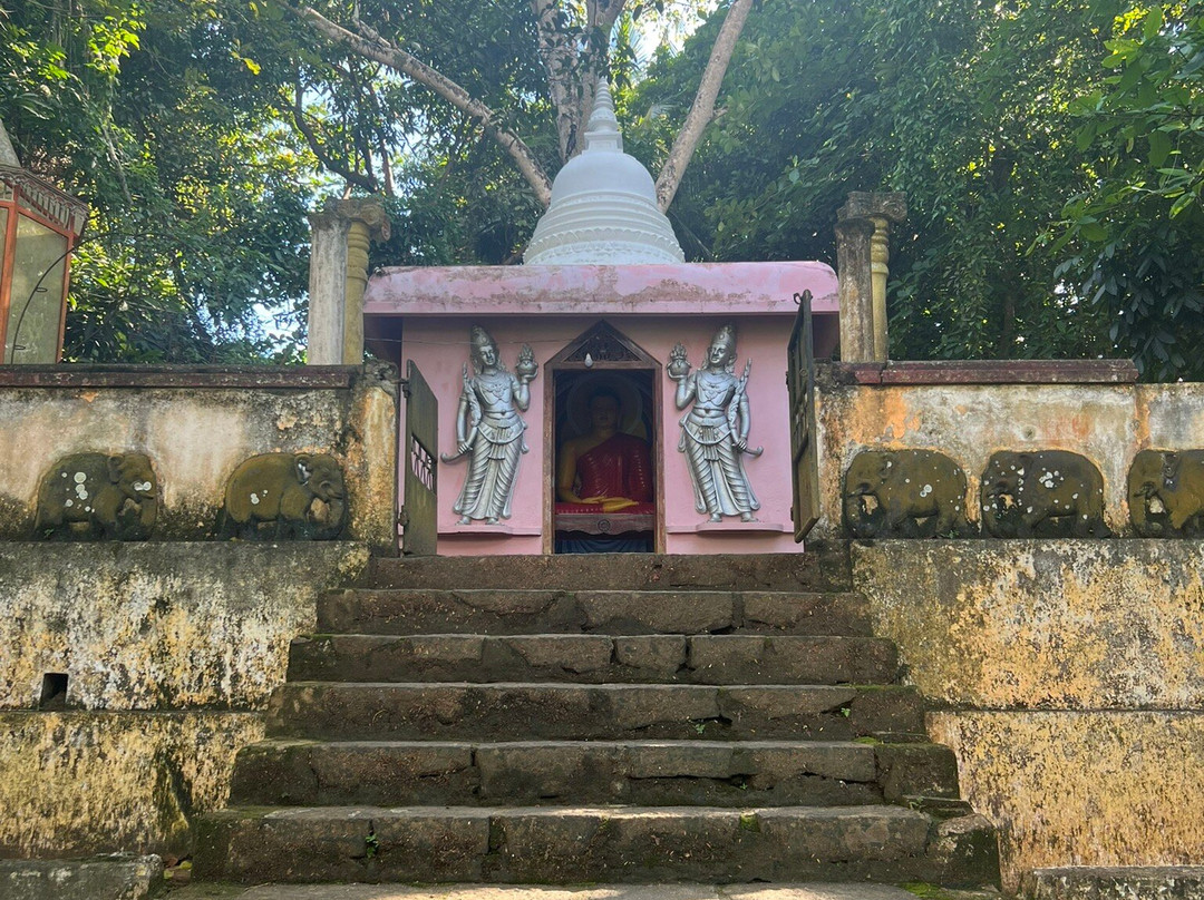 Koggala Lake Boat Safari & Kayak Adventure with Malish-克拉必去景点