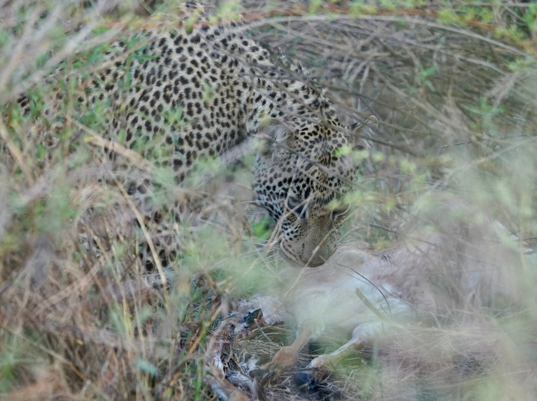 Ngatunga Tours-乞力马扎罗山国家公园必去景点