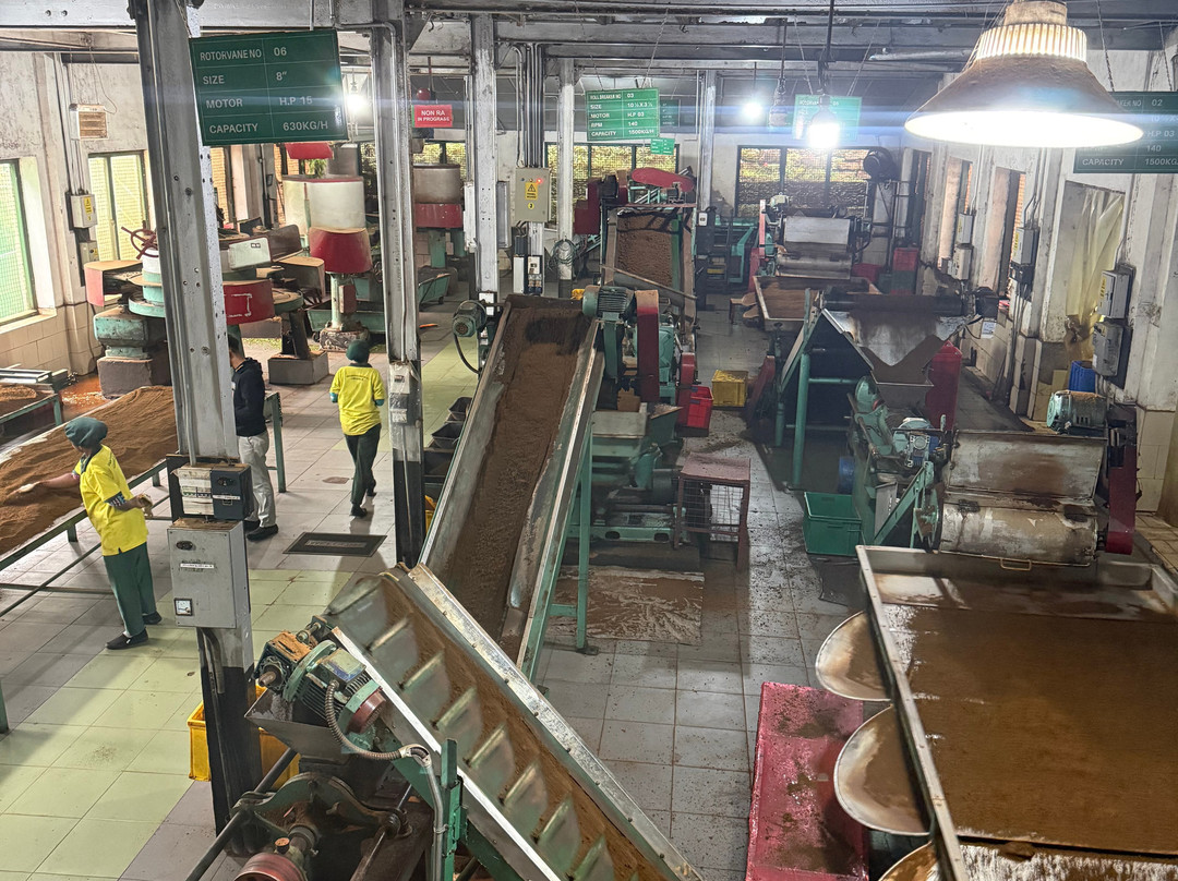 Zion Lanka Tours-Katana必去景点