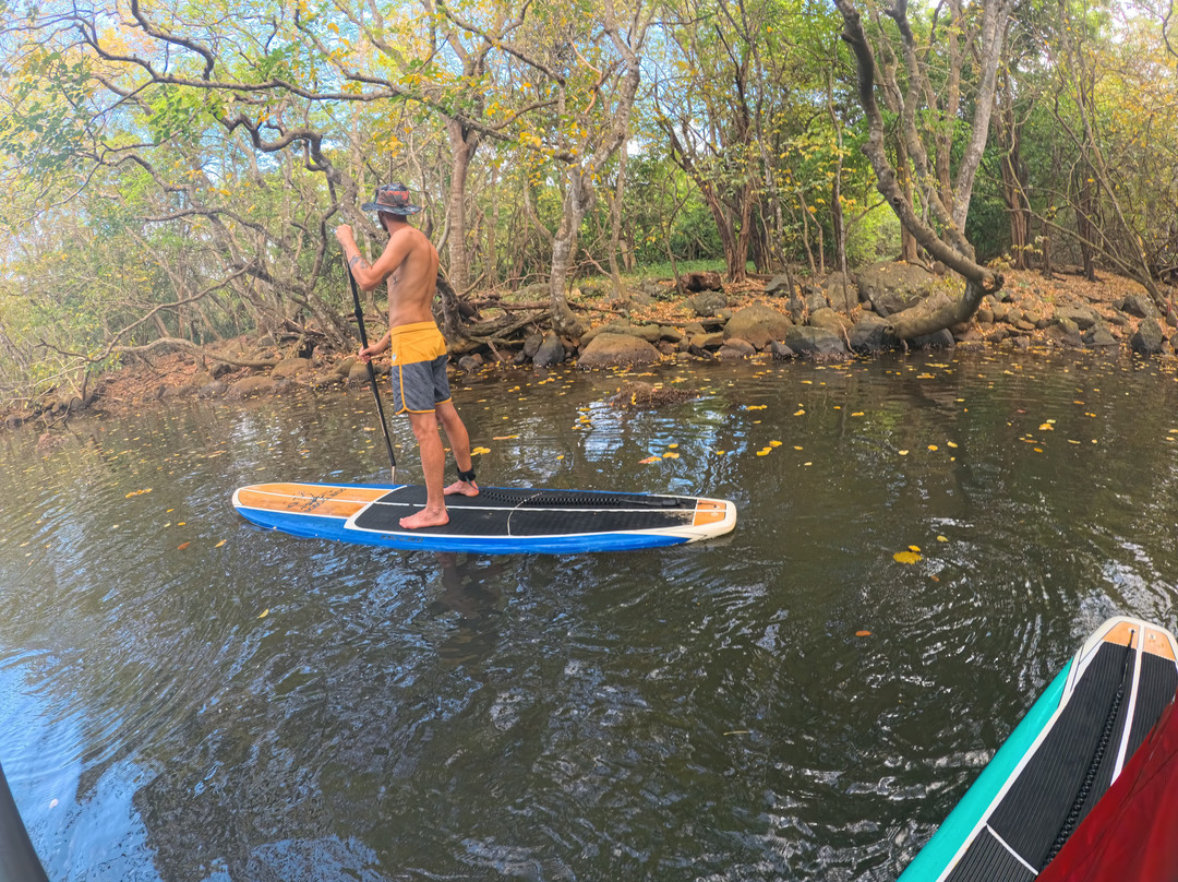 Dodo Gliders-毛里求斯必去景点