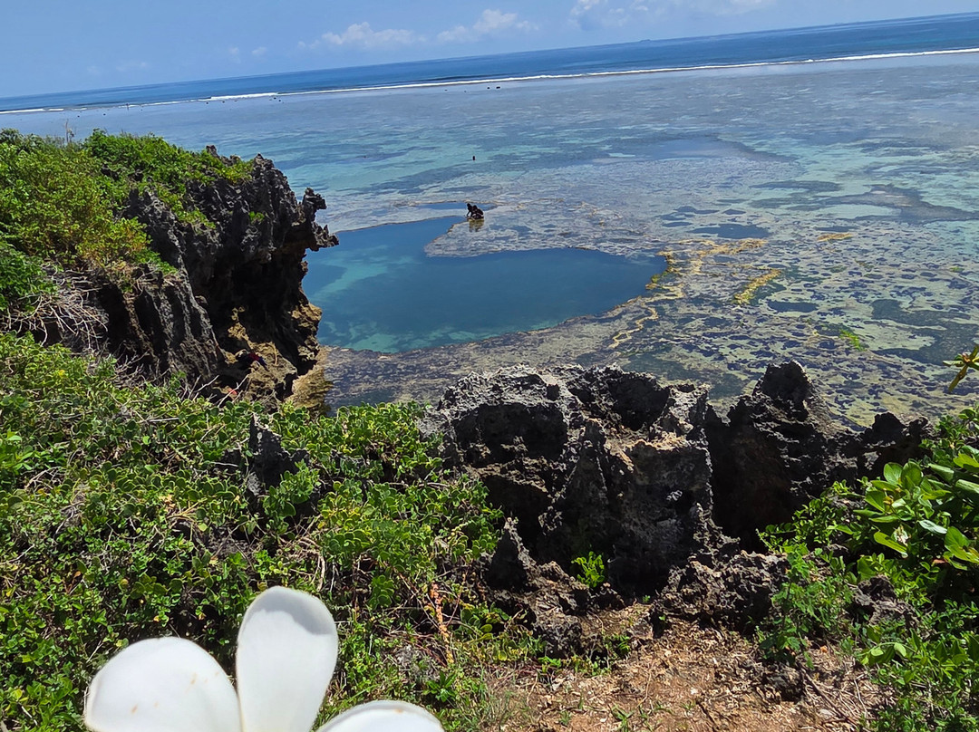 Natural Pool Tiwi African Pool Map.