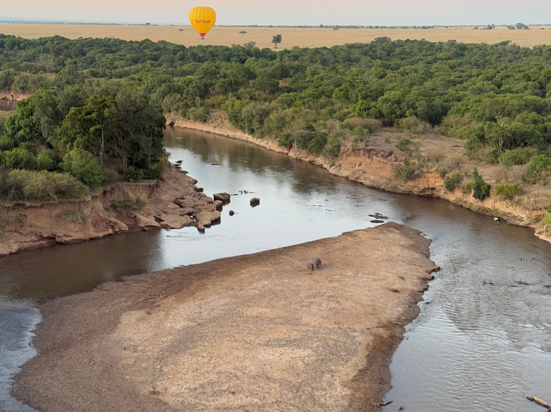 Skyship Co. Balloon Safaris-马赛马拉国家野生动物保护区必去景点
