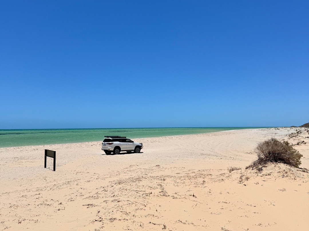 Shark Bay Coastal Tours-德纳姆必去景点