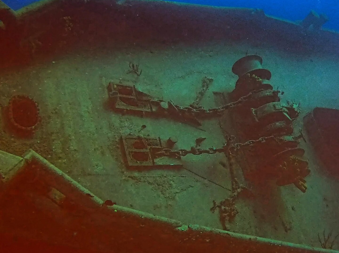 Kittiwake Shipwreck & Artificial Reef-西湾必去景点