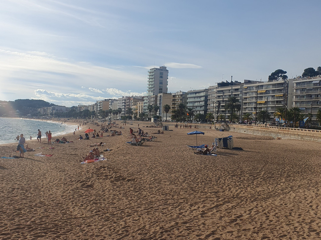 Sant Daniel旅游景点-Escape The Town - Palamós