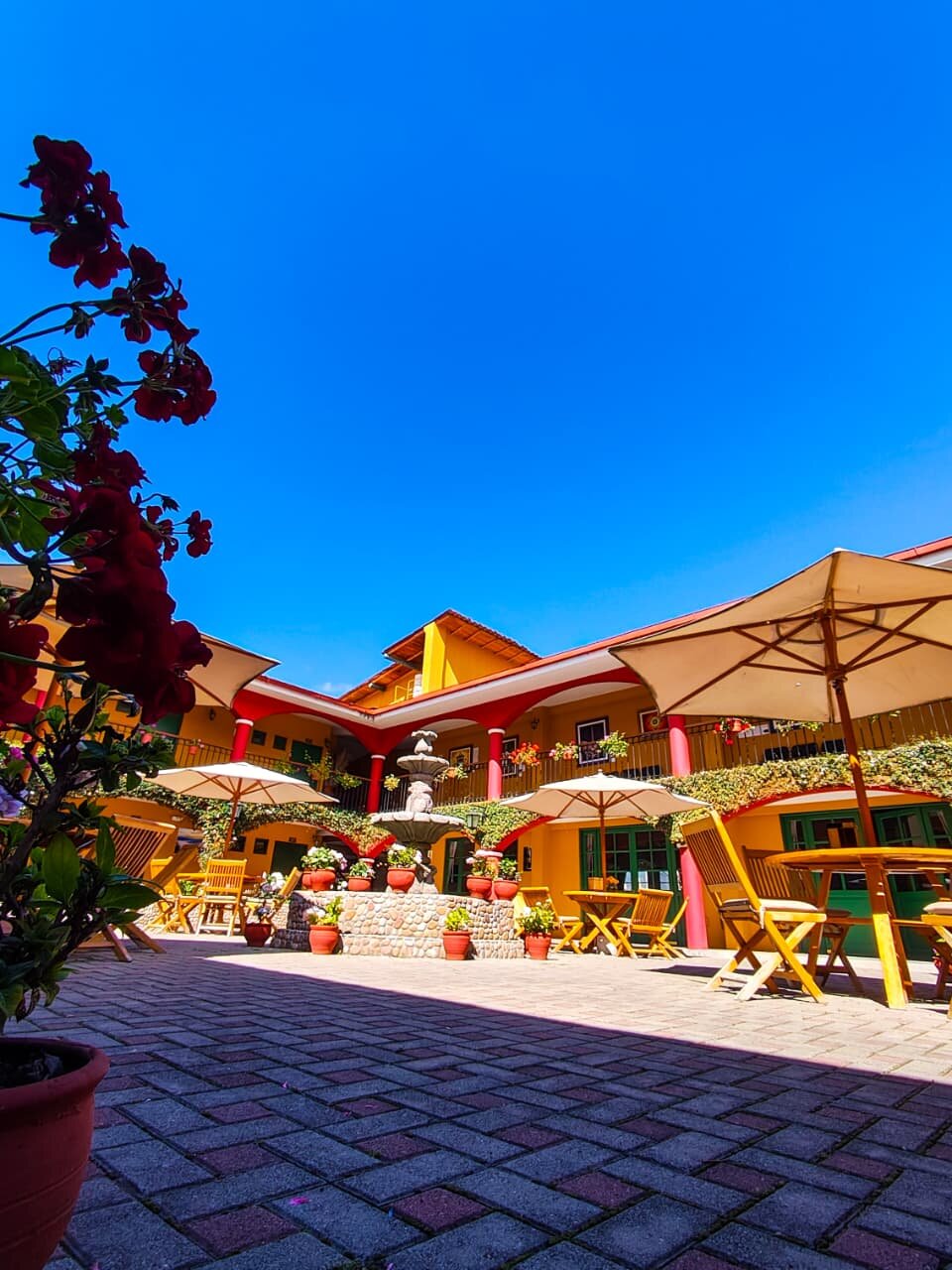 Hotel Tartar-酒店景观