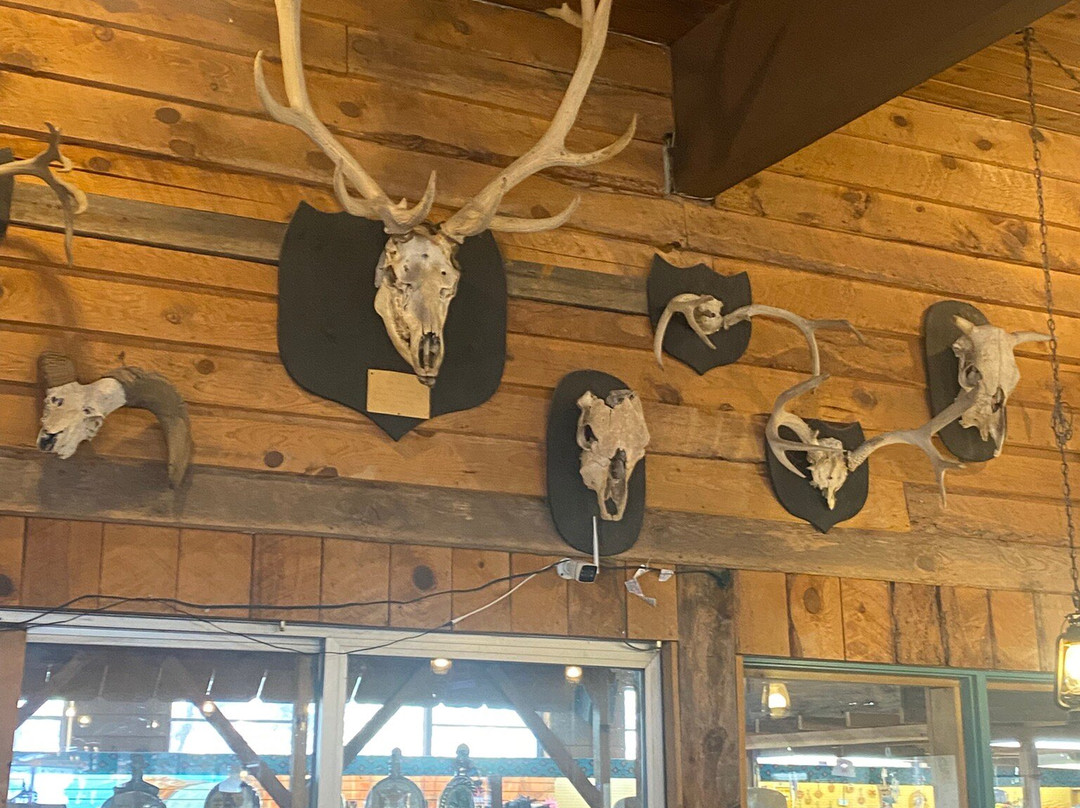 Grand Canyon Caverns-皮奇斯普林斯必去景点