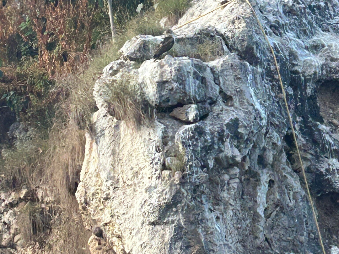 Galilea Boat Charters-Mismaloya必去景点