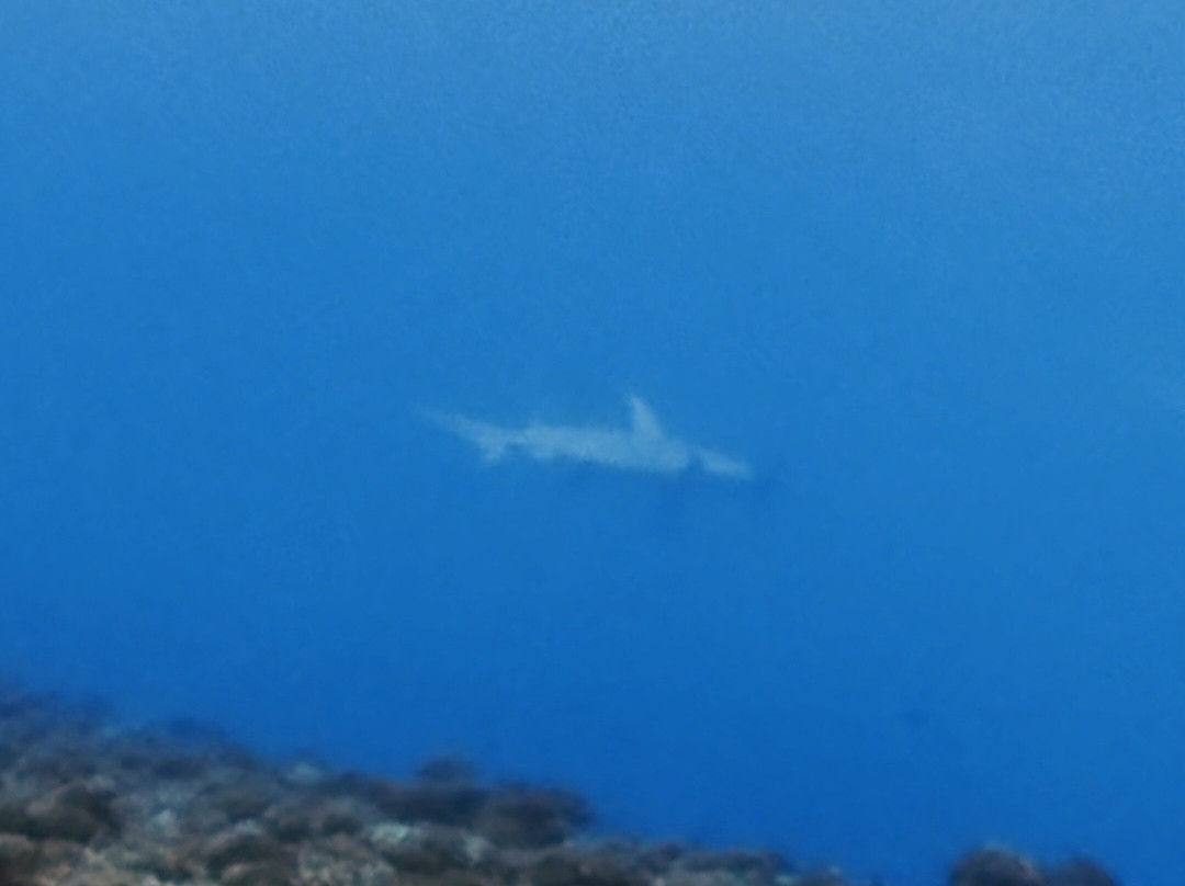 The Six Passengers-阿瓦托鲁必去景点