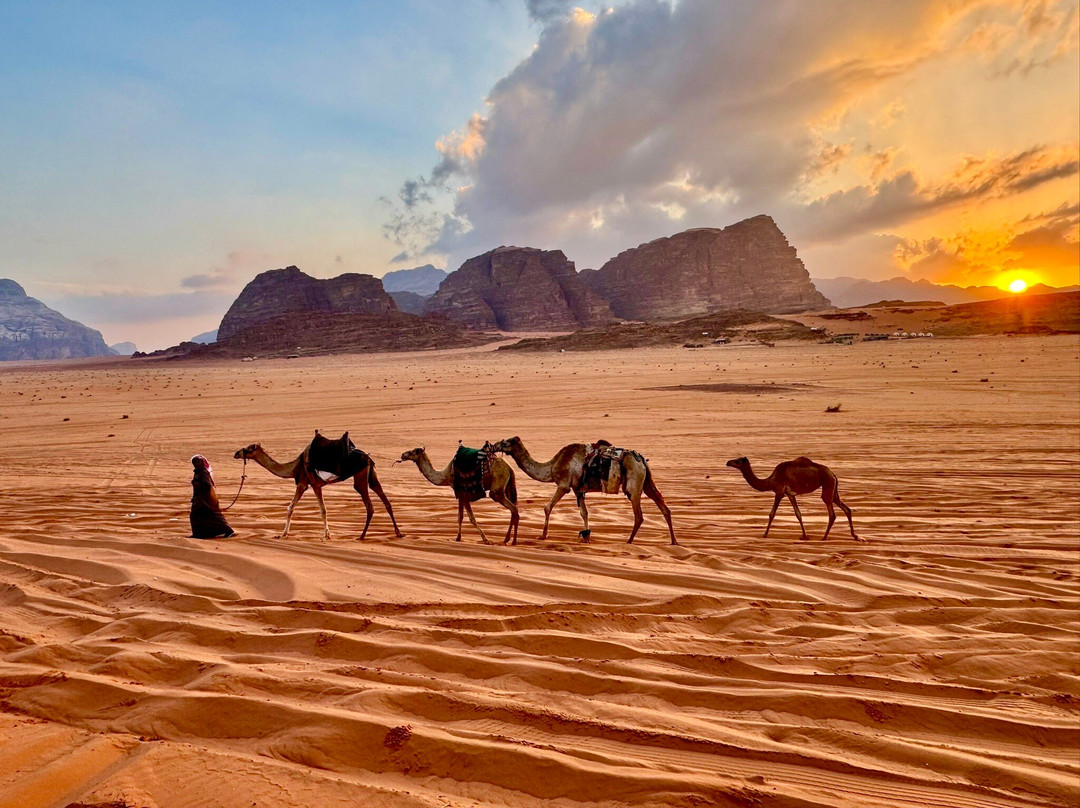 Why Jordan Tours-佩特拉必去景点