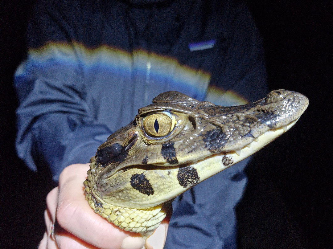 Amazon Discovery-伊基托斯必去景点