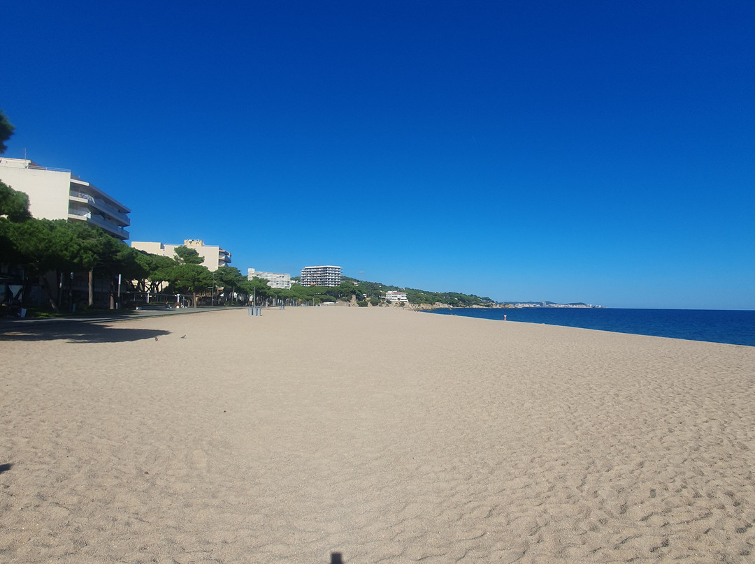 Sa Palomera-布拉内斯必去景点