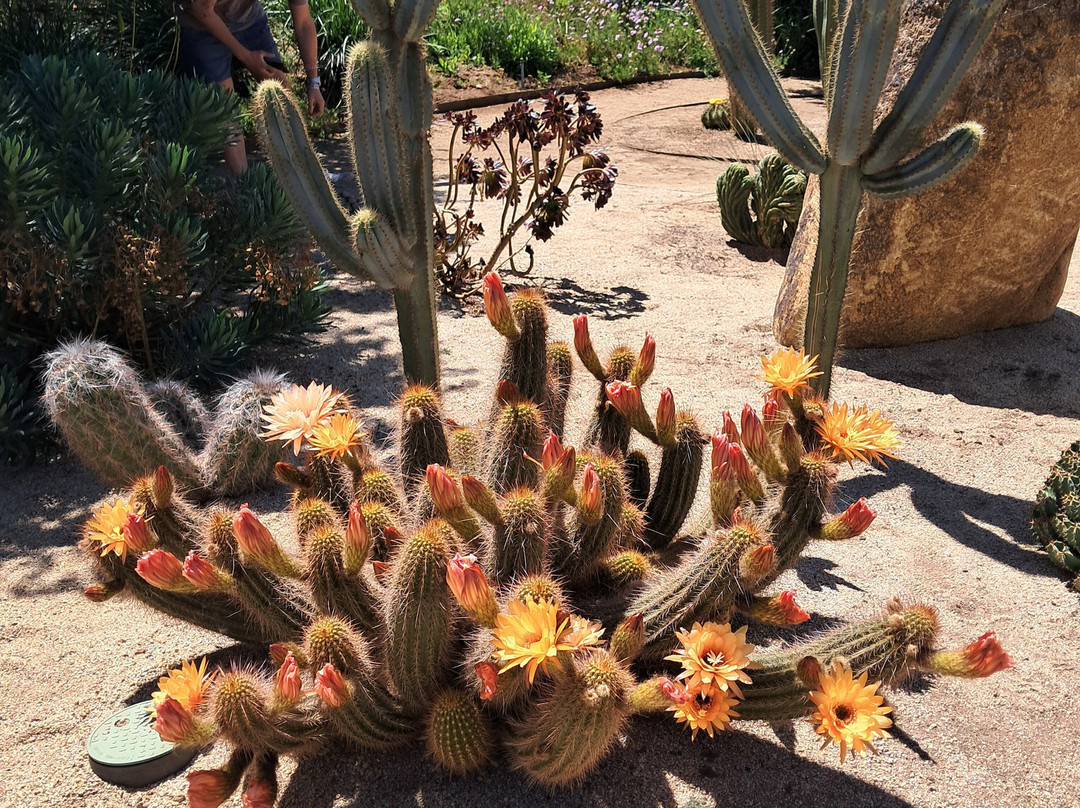 Parque Tricao-Santo Domingo必去景点