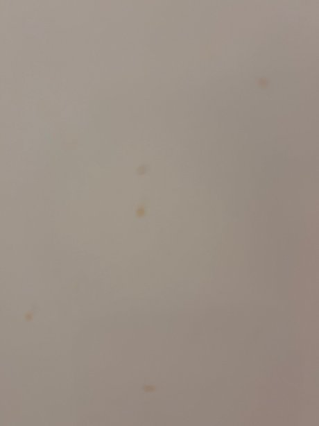 希勒勒贝斯特韦斯特酒店-官方