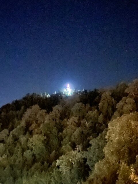 Te Aroha By Shervani-官方