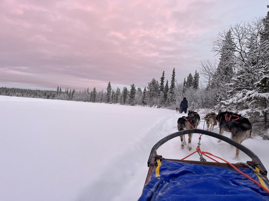 哈士奇雪橇之旅-基律纳必去景点