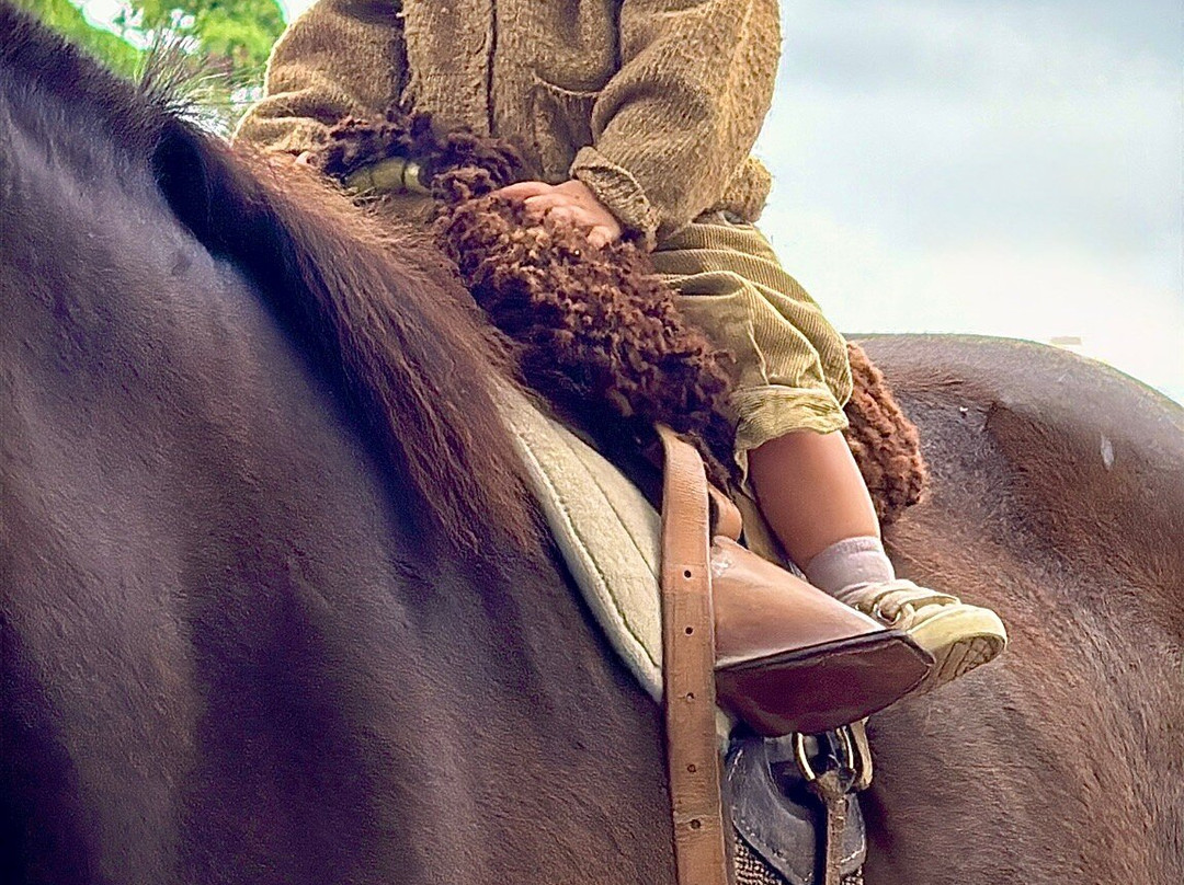 La Rábida - Estancia-San Jose de Mayo必去景点
