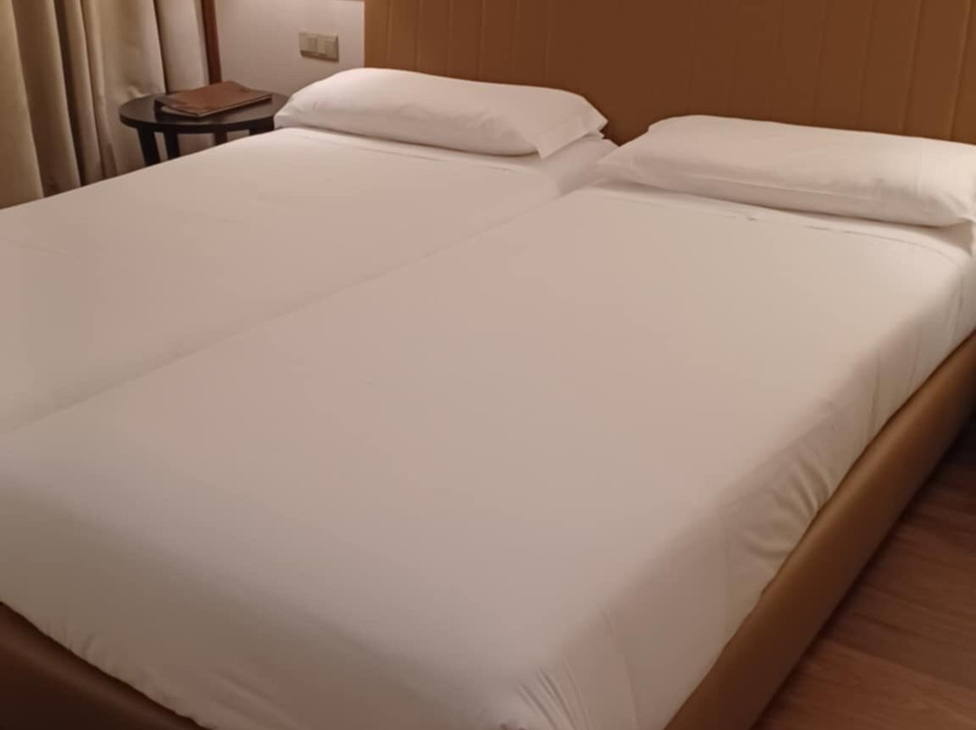 Hotel de Guimaraes主图