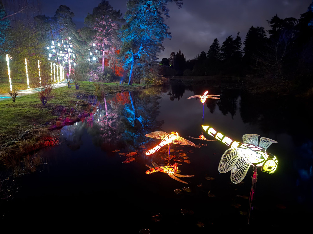 Bedgebury National Pinetum And Forest-Goudhurst必去景点