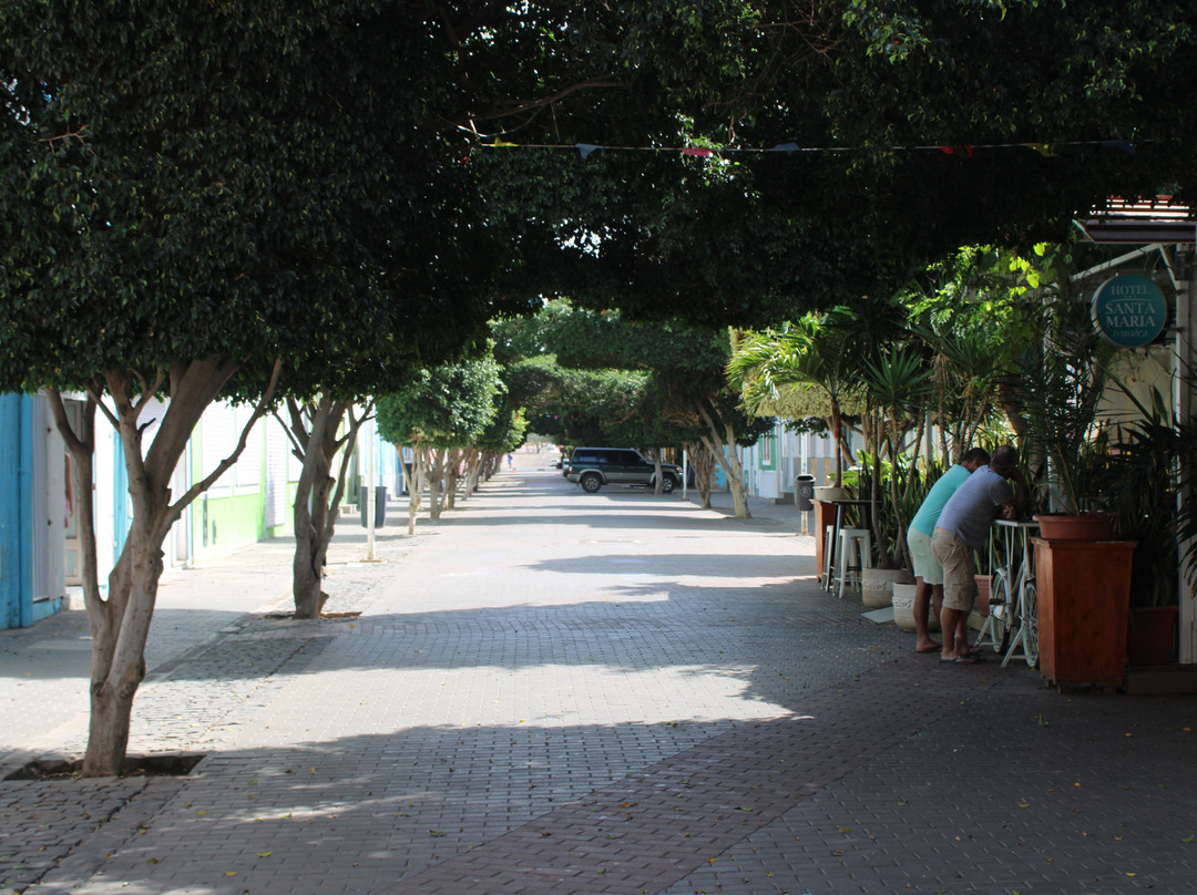 Avenida 5 de Julho-培亚必去景点