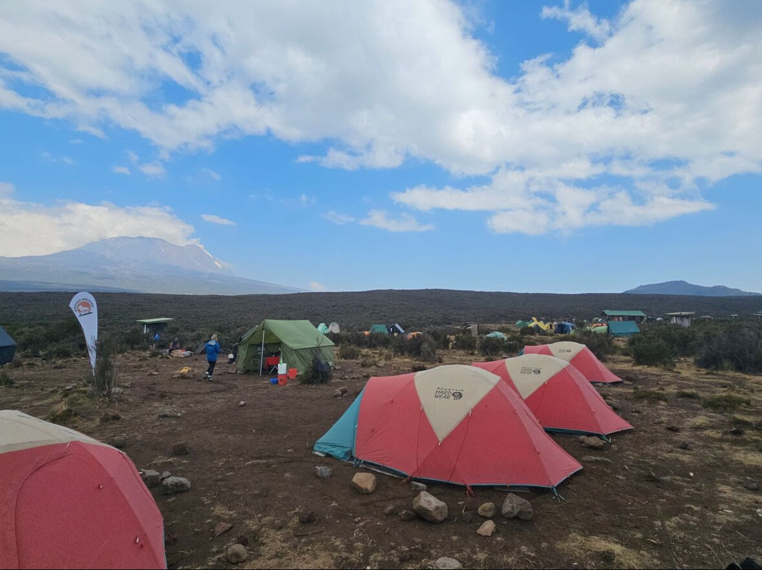 Dotcom Safaris Ltd-莫西必去景点