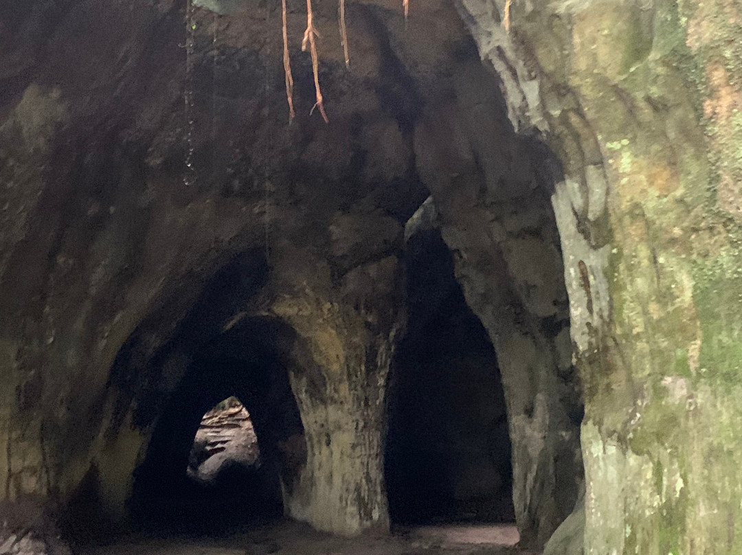 Cachoeira de Iracema-Presidente Figueiredo必去景点