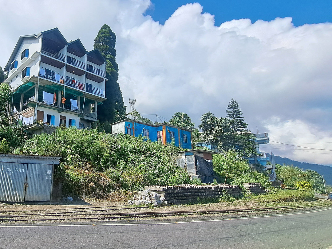 The Emili Schenkl House