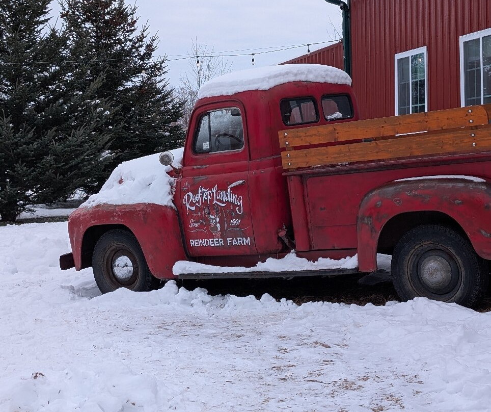 Rooftop Landing Reindeer Farm-Clare必去景点