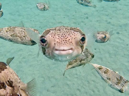 Freefall Academy-拉巴斯必去景点