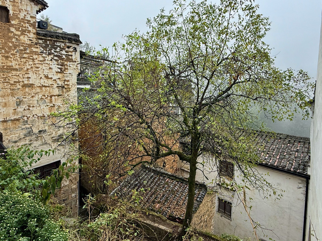 婺源篁岭景区-婺源县必去景点