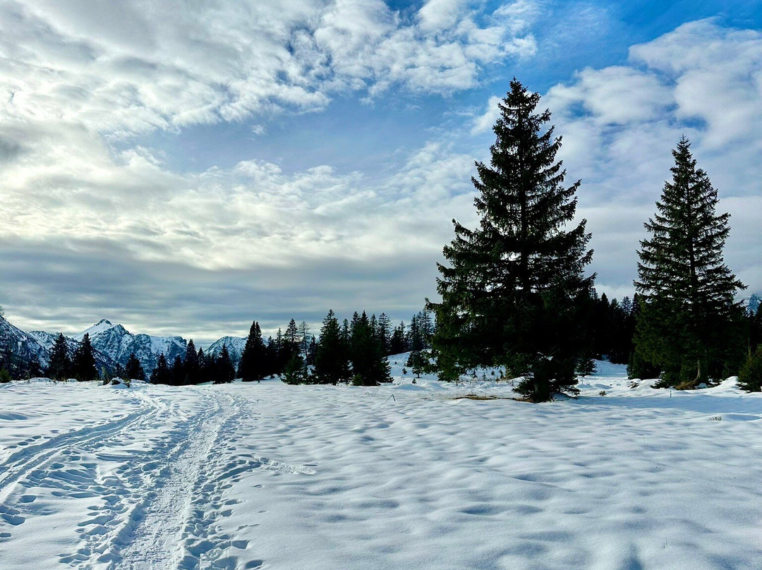 Dilly Das Nationalpark Resort主图