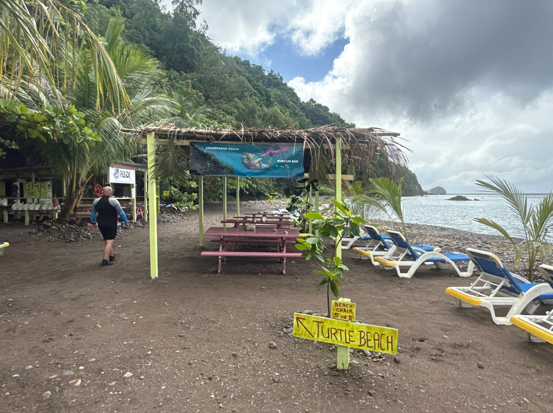 Donny's Watersports-Pointe Michel必去景点