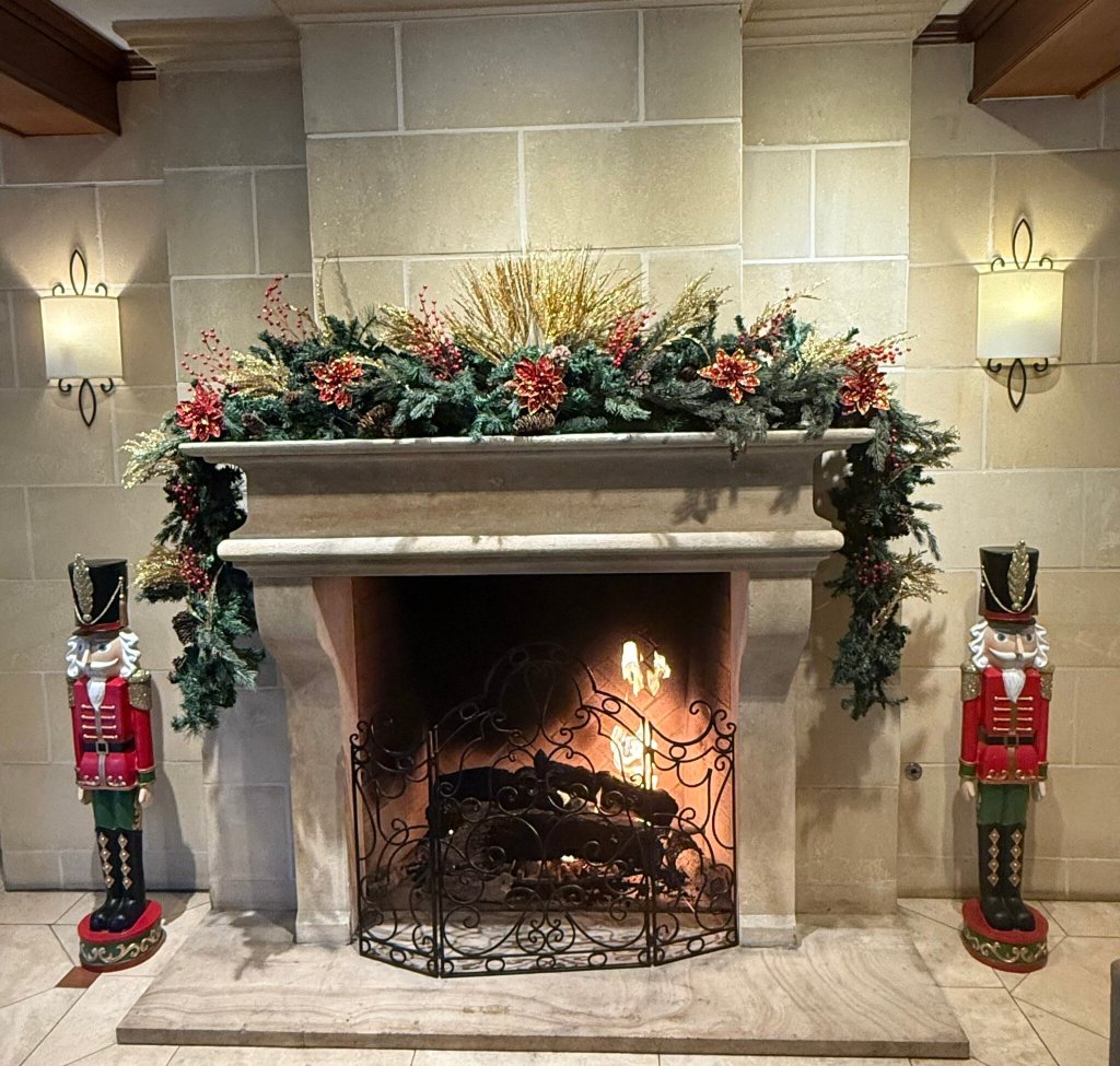 阿纳海姆艾雅酒店-官方