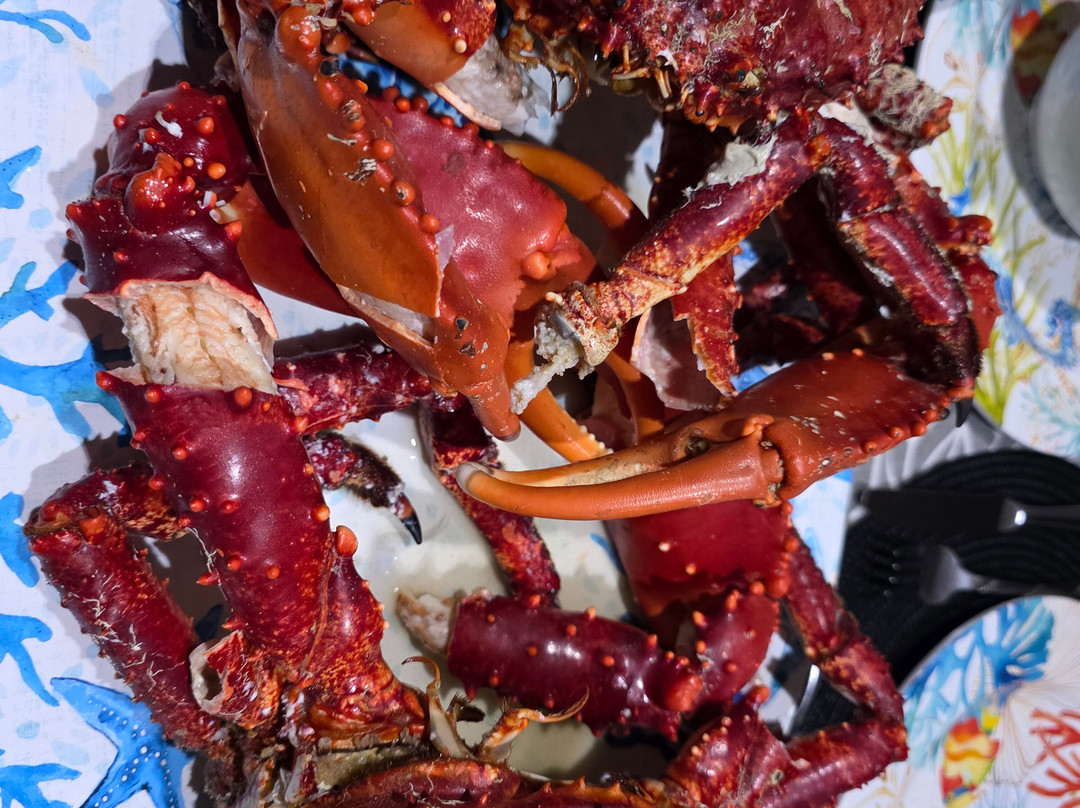 Catamaran Adventures San Blas-埃尔波韦尼尔必去景点