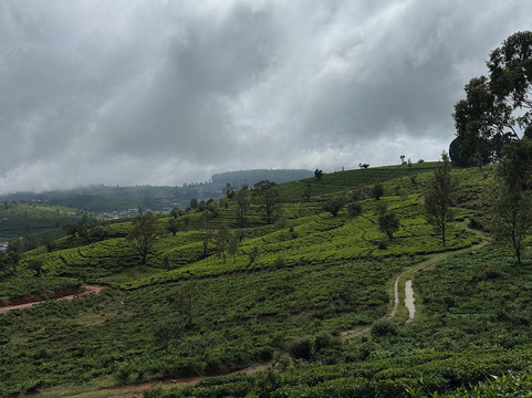 Ceylon Tap & Tours-奴娃拉伊利雅必去景点