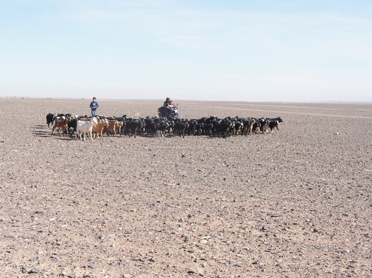 Morocco Best Experience-卡萨布兰卡必去景点