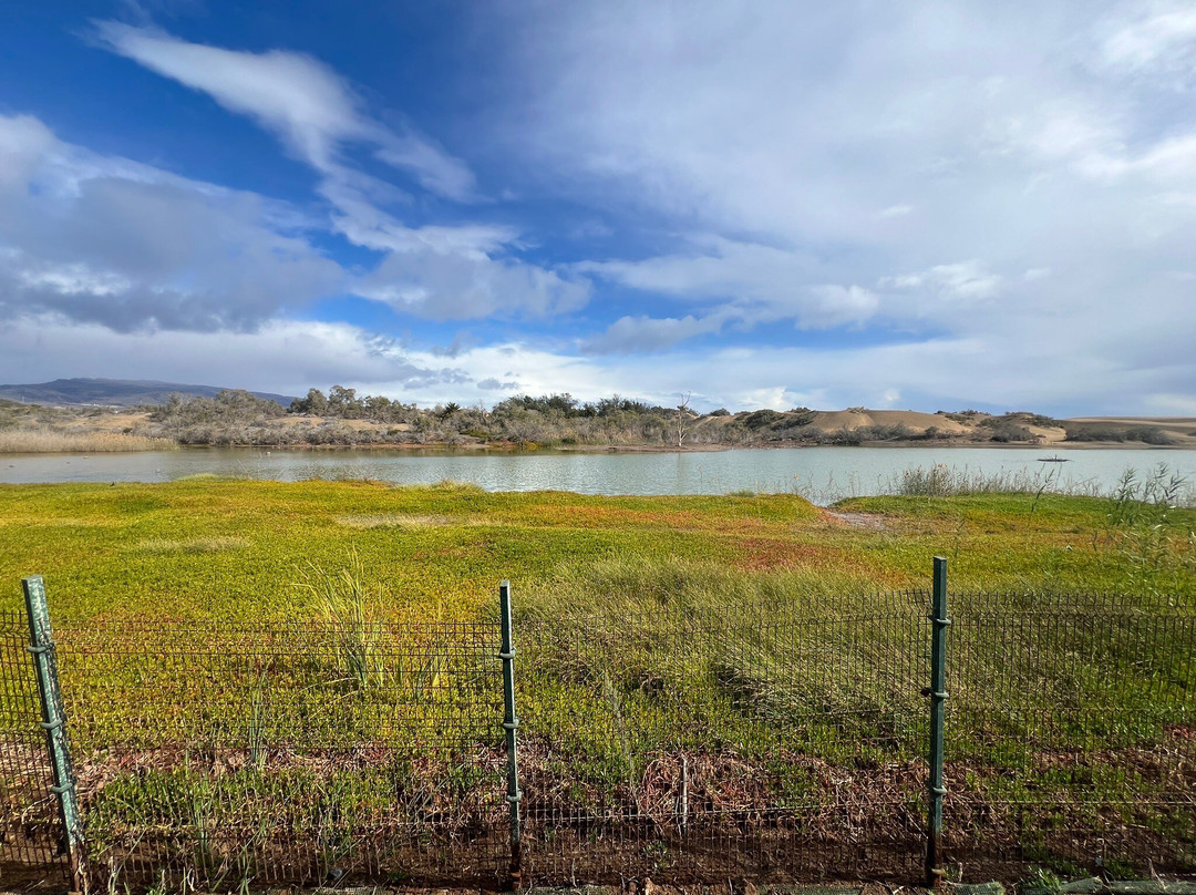 La Charca-马斯帕洛马斯必去景点