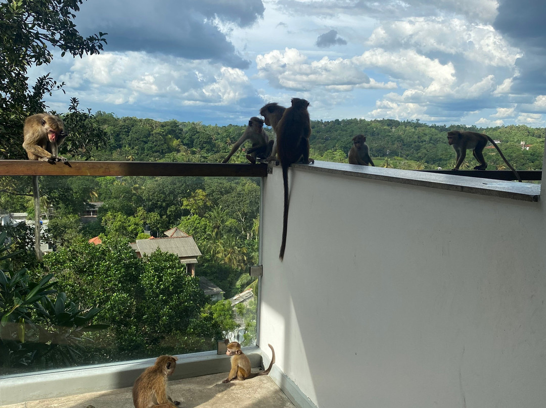 My Driver Sri Lanka-卡图纳耶克必去景点