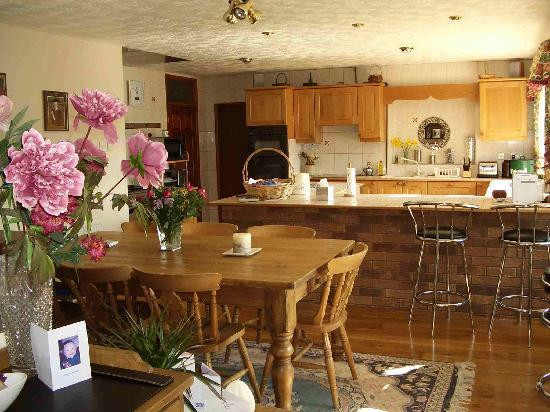 Bryn Heulog Guest House主图