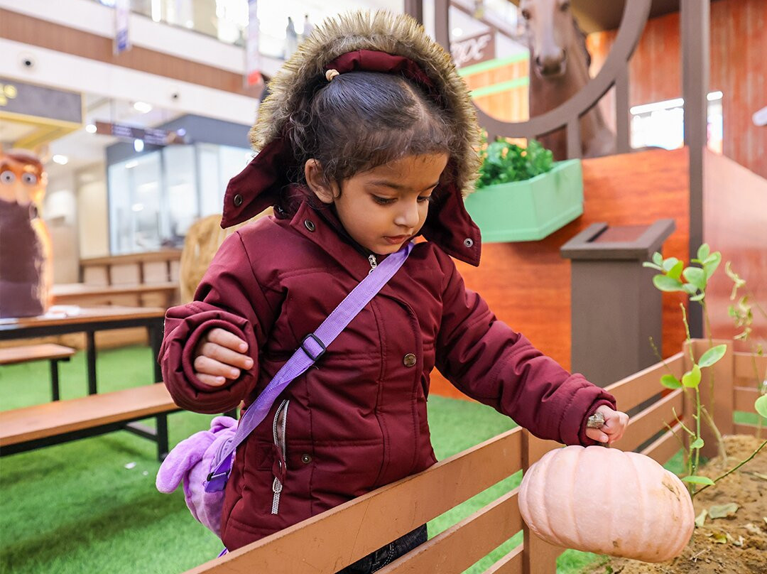 The Mall Of Faridabad-法里达巴德必去景点