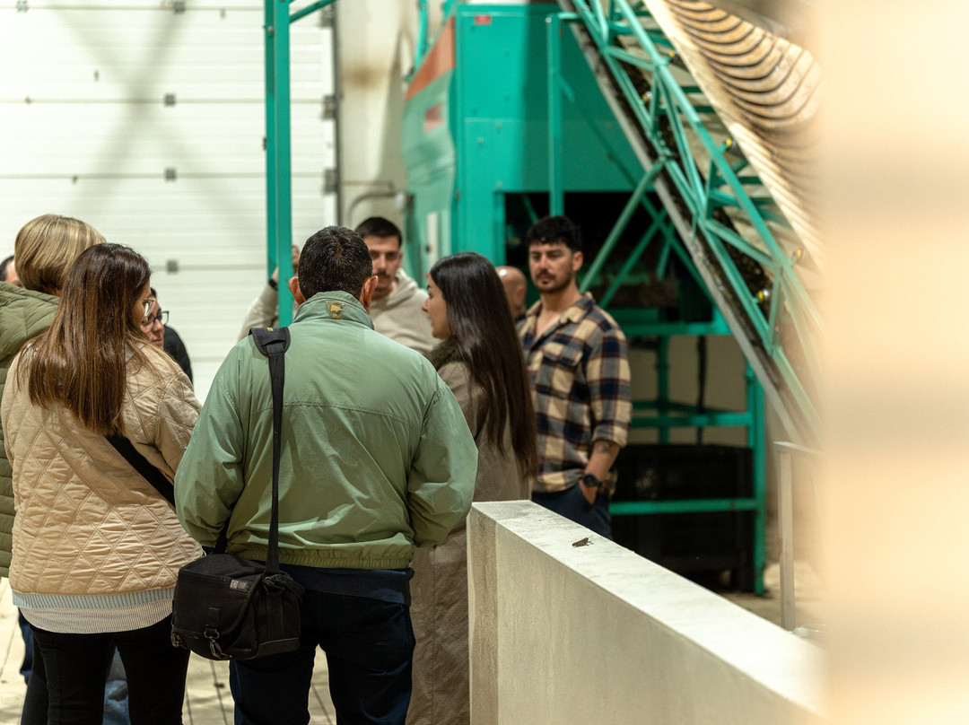 Almazara Riojana-Aldeanueva de Ebro必去景点