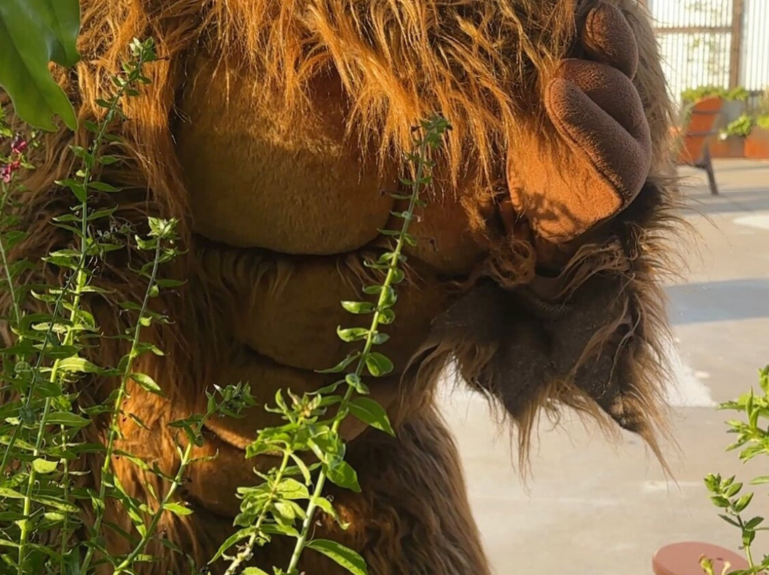 Bigfoot Fun Park-布兰森必去景点