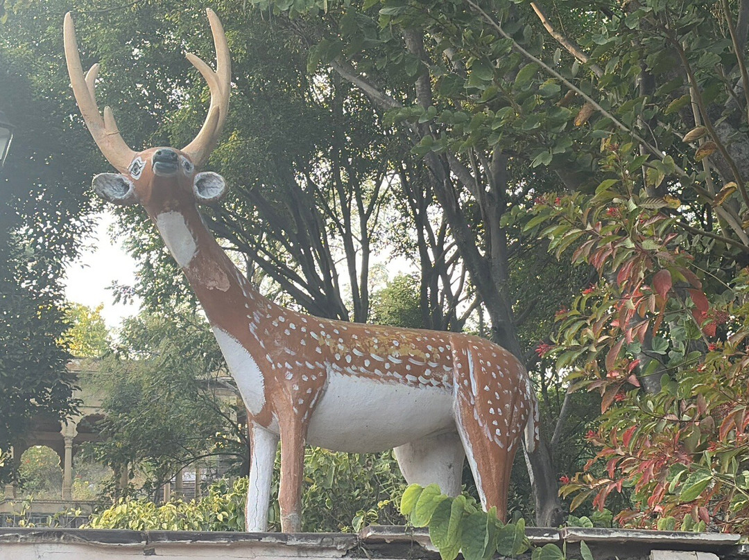 Rajiv Gandhi Park-乌代布尔必去景点