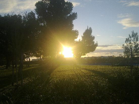 波斯塔德尔法尔科B&B酒店主图