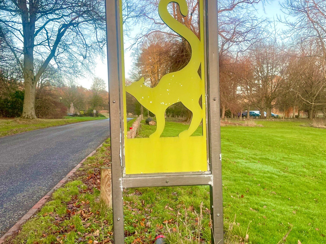 Camperdown Country Park-敦提必去景点