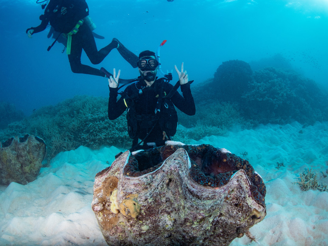 Reef Encounter-凯恩斯必去景点