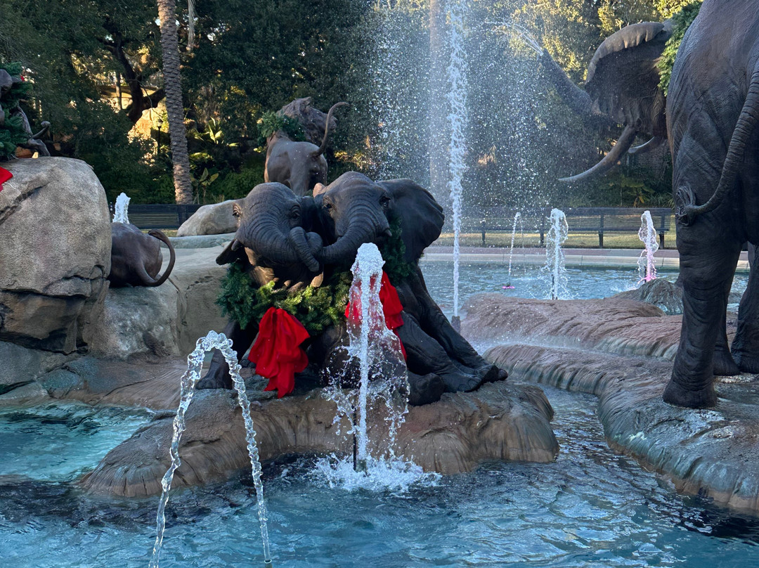 奥德邦动物园-新奥尔良必去景点