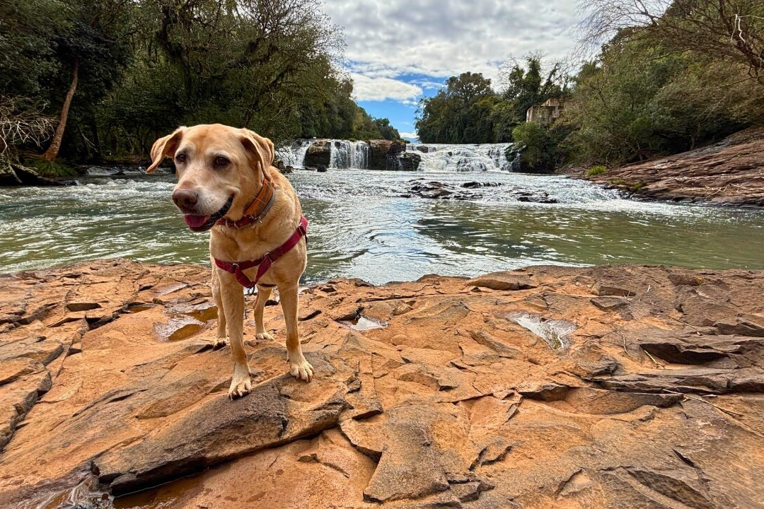Cascata Herval do bairro São Miguel-Dois Irmaos必去景点